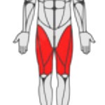 Leg icon